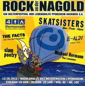 VERSCHIEDENE INTERPRETEN - ROCK AN DER NAGOLD (CD)